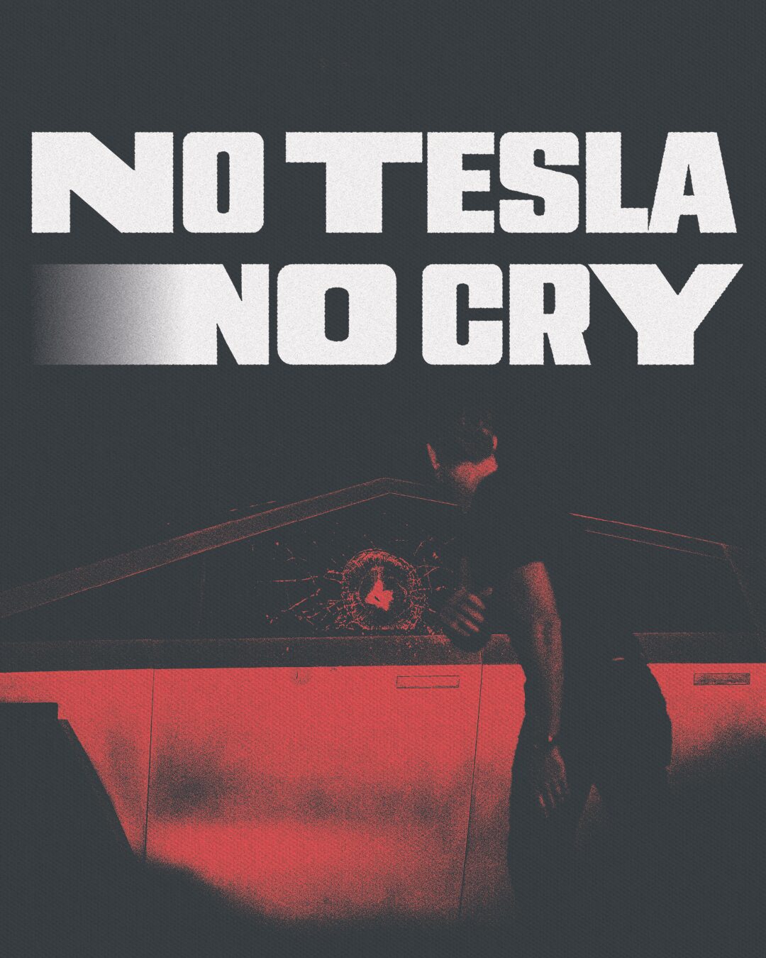 NO TESLA NO CRY – Der Klimakrise kann man nicht davon fahren.